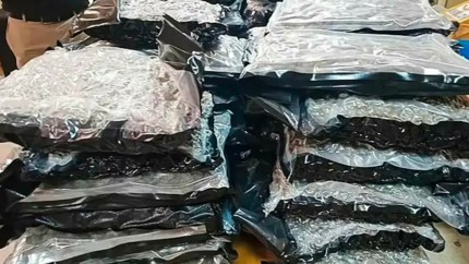 Kush drogul groazei fabricat din oameni morți face victime. O tânără a fost prinsă cu 30 kg