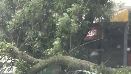 Furtuna rară care a lovit Capitala explicată de meteorologi. Când ar putea lovi din nou acest fenomen