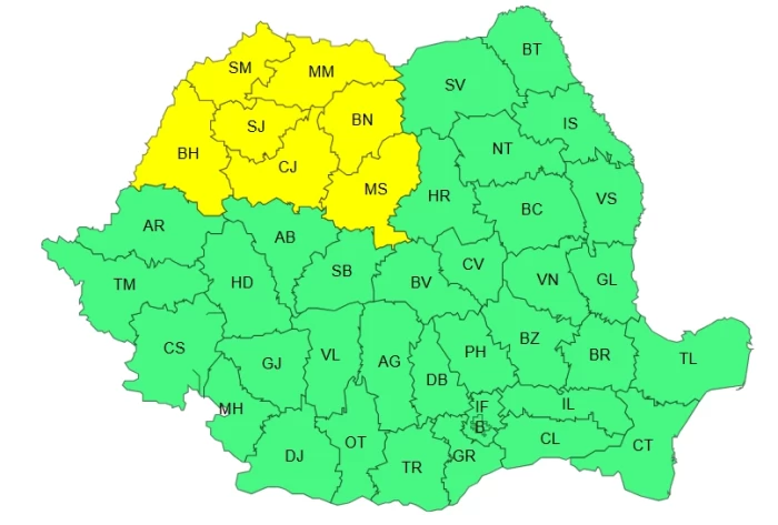 Cod galben de furtună