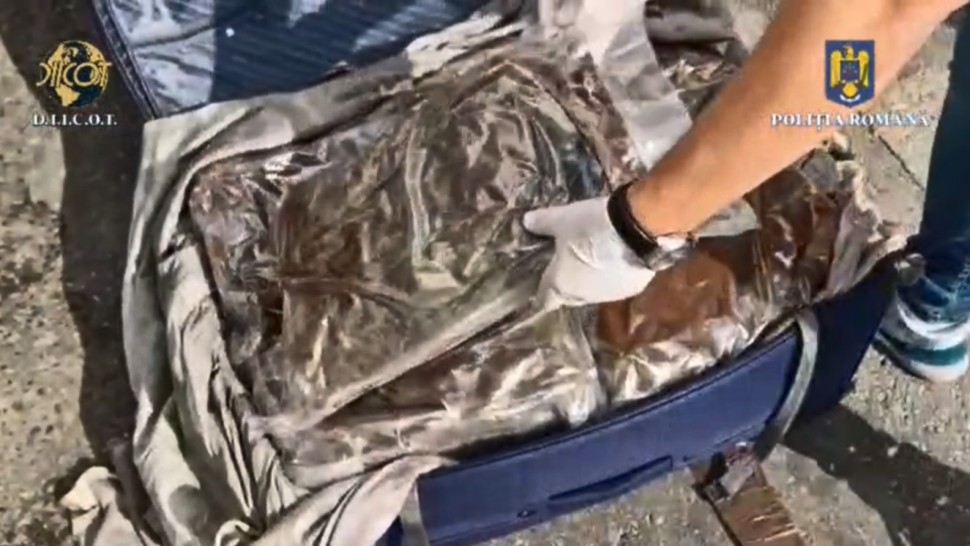 Trolere cu 12 kg de cannabis prin curier. DIICOT a reținut trei bărbați care primeau droguri din Spania VIDEO