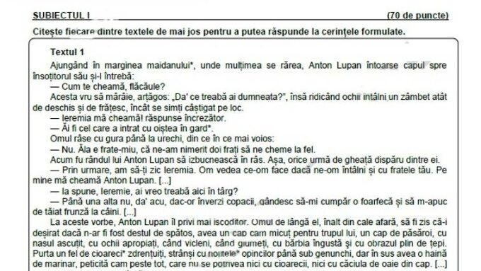 Evaluarea Națională 2025 Subiectele la Limba Română