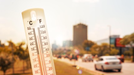 Trei zile de foc în București. Temperaturi sufocante şi nopţi tropicale