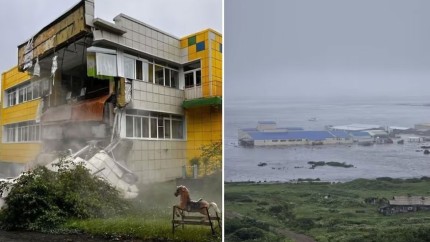 Cutremur major cu magnitudinea de 88 grade UPDATE Anumite zone din Polinezia Franceză avertizate. Japonia și Hawaii au redus nivelul de alertă VIDEO