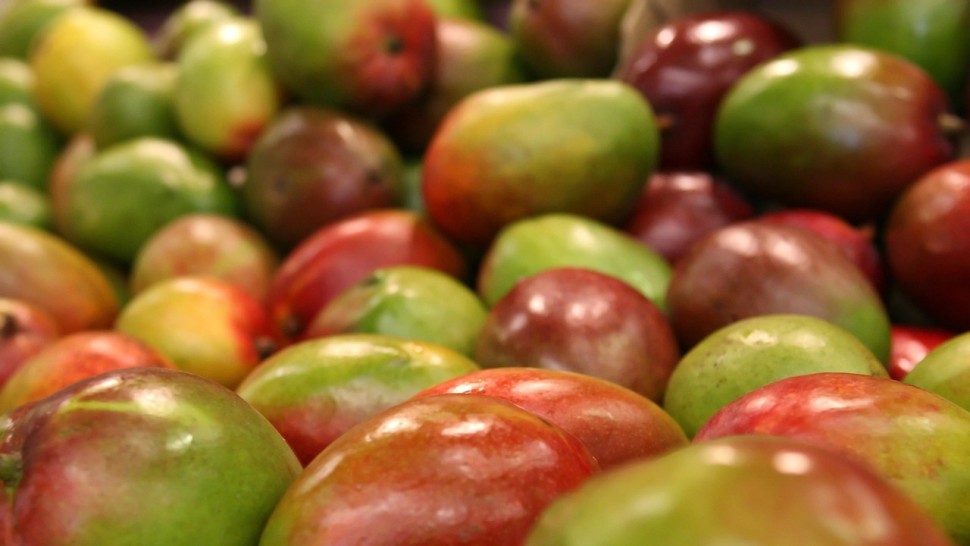 Cercetătorii au descoperit un truc de 10 minute care păstrează fructele de mango proaspete timp de 28 de zile