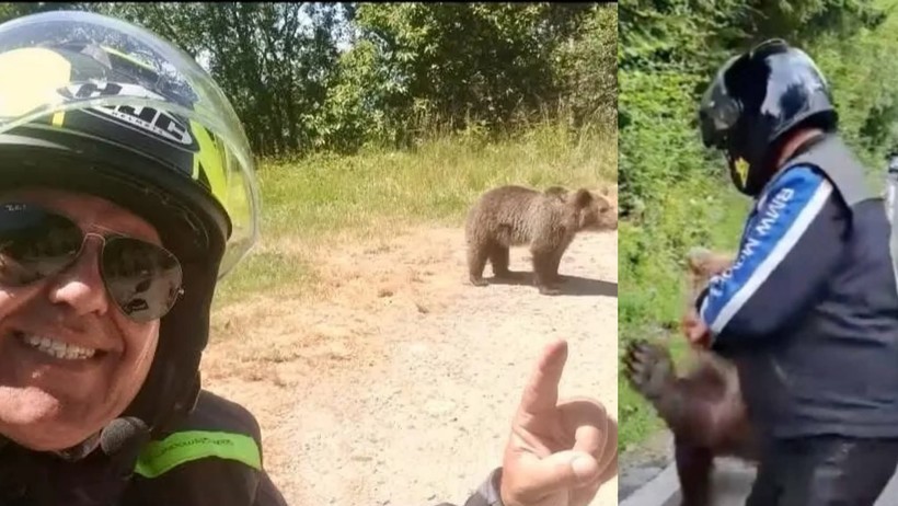 Cronica unei morți anunțate. Italianul ucis de o ursoaică pe Transfăgărășan postase fotografii cu urși pe marginea drumului. Femela a fost împușcată