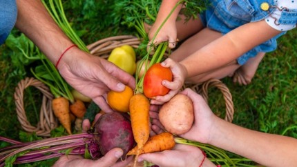 Legume rezistente la secetă. Ce rezistă cel mai bine