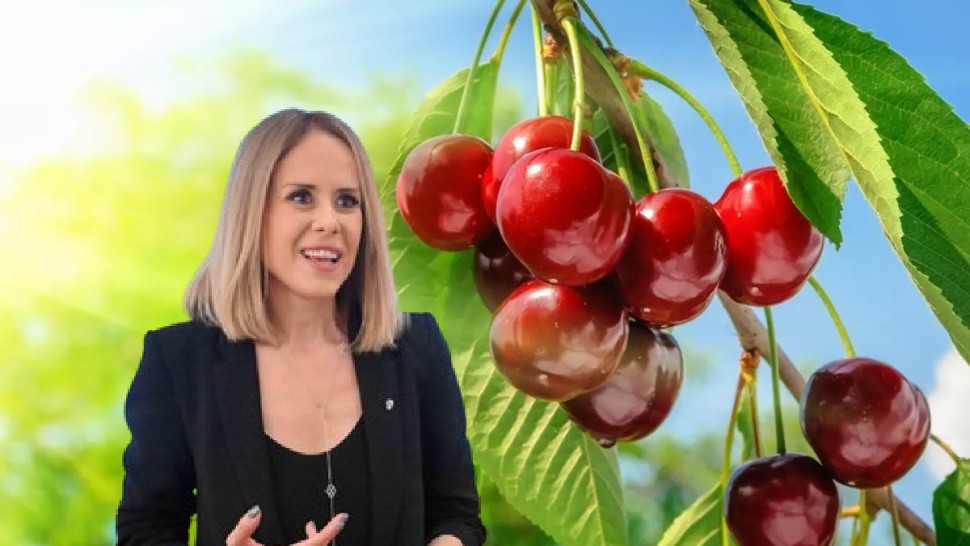 Nutriționistul Mihaela Bilic dă alerta pentru români Nu cumpărați aceste vișine