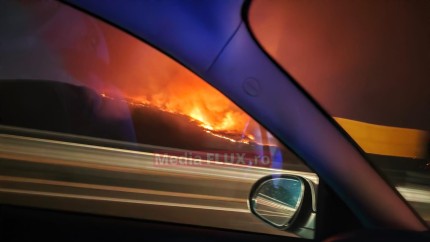 VIDEO EXCLUSIV Imagini apocaliptice cu incendiile din Spania Familie de români prinsă în flăcări. Situația în Galicia este cruntă