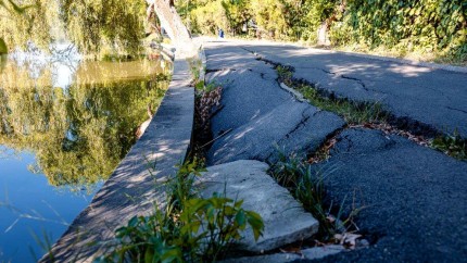 Lucrări de urgență în Parcul Herăstrău. Malul lacului s-a surpat aleile sunt în pericol să se prăbușească