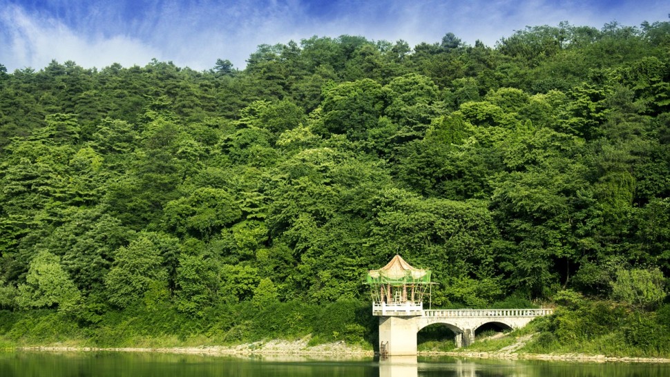 Ce este Forest Bathing și de ce tot mai mulți români îl includ în vacanțele de toamnă