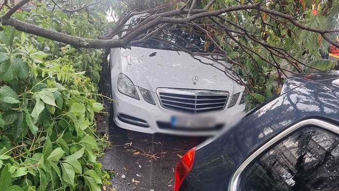 Alertă de inundații la Suceava după ploaia torențială de miercuri. La Fălticeni vântul a doborât un copac. A fost cod roșu de vijelie
