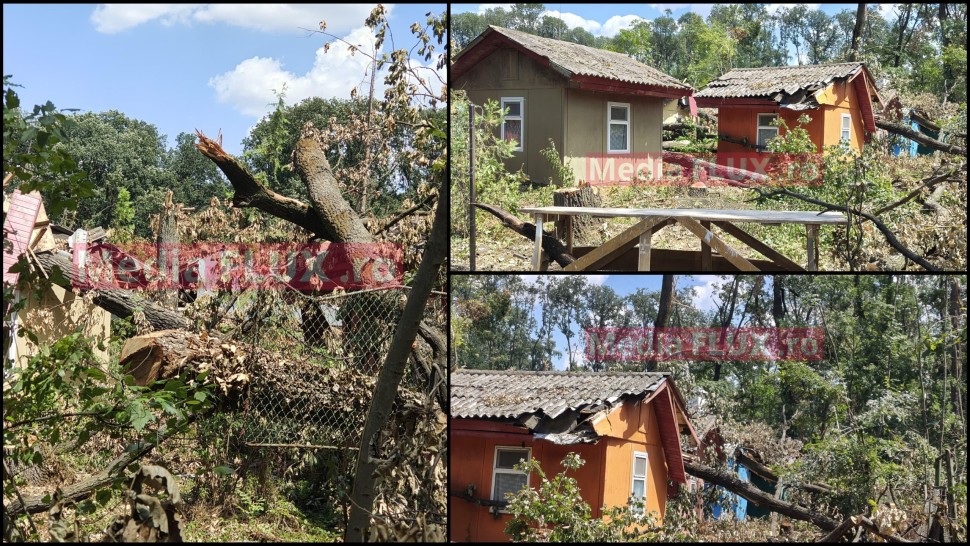 EXCLUSIV Dezastrul de după furtuna care a făcut ravagii în Pădurea Băneasa de lângă București încă vizibil Zona plină de copaci căzuți din cauza vijeliei FOTO și VIDEO