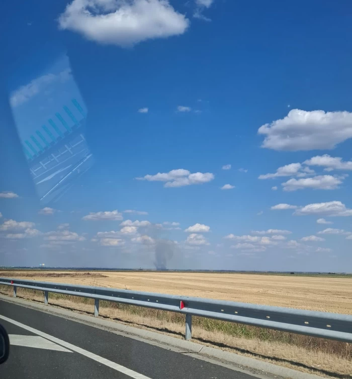 incendiu vegetație
