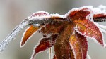Meteo 25 septembrie. ANM anunță în ce zone din România va ninge