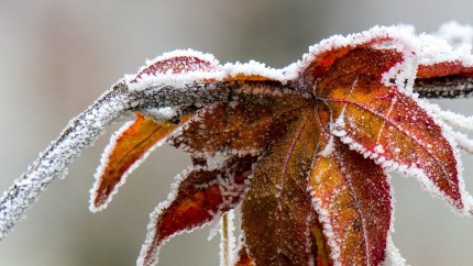 Meteo 25 septembrie. ANM anunță în ce zone din România va ninge
