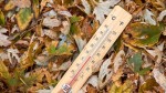 Meteo 20 8211 23 septembrie. Cum va fi vremea în weekend în România și în București potrivit ANM