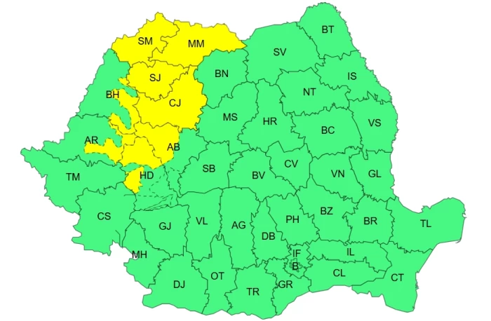 Cod galben de ploi însemnate cantitativ