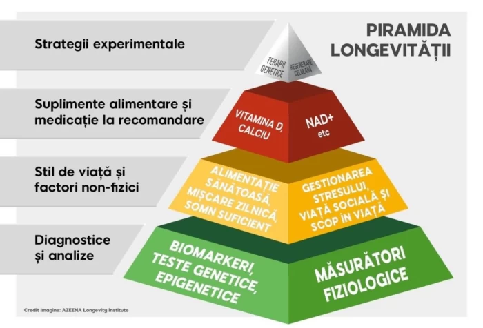 Piramida Longevității