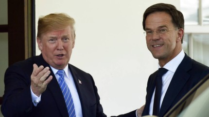 Întâlnire-surpriză între șeful NATO Mark Rutte și preşedintele american Donald Trump. Care este contextul