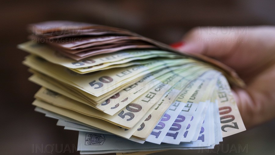 Se dau 20.000 de lei gratis pentru români. Condițiile pentru a putea banii prin programul FIV