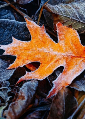 Prognoza meteo 21 septembrie. ANM anunță lapoviță și ninsoare. Unde va fi cel mai frig