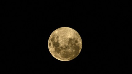 Luna Nouă în Balanță aduce echilibru și armonie pentru 3 zodii. Cum vor fi influențați acești nativi și ce se va întâmpla cu ei în octombrie