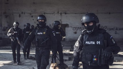 Percheziții DIICOT în București și alte 8 județe din țară. Vizată constituirea unui grup infracțional organizat