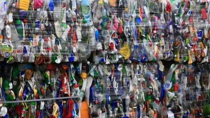 Închiderea fabricilor de reciclare continuă în întreaga Europă Previziuni dure pentru industrie și mediu România va resimți imediat acest lucru