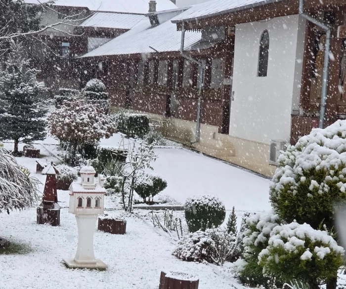 Vrancea, Panciu