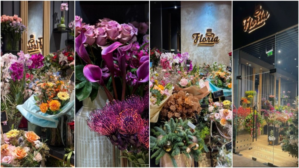 Cunoscutul brand Floria deschide o nouă florărie în AFI Brașov. Investiţie de 135.000 de euro susţinută integral de companie. Următoarea franciză la Iaşi