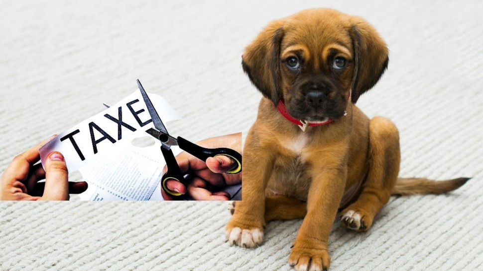 O nouă taxă pentru români. Se ia în calcul plata pe zi pentru fiecare animal