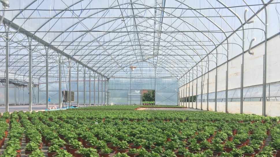 PSD va solicita în coaliție eliminarea impozitului pe solarii A fost strecurat în lege fără o consultare şi fără un acord