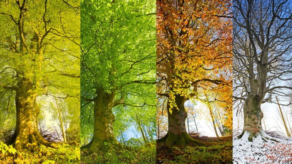 Spunem adio celor patru anotimpuri în România Meteorologii anunță ce schimbări climatice istorice vor avea loc în viitorul apropiat