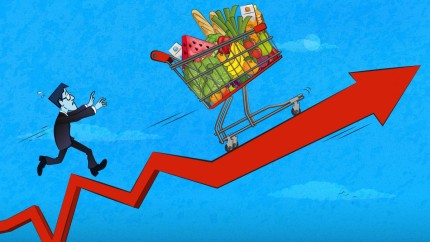 Rata anuală a inflației în decembrie 2025 a fost 97 comparativ cu decembrie 2024 anunță INS. Energia electrică s-a scumpit cel mai mult cu 61