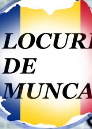 Se caută muncitori necalificați. Aproape 500 de locuri de muncă disponibile într-un județ din România