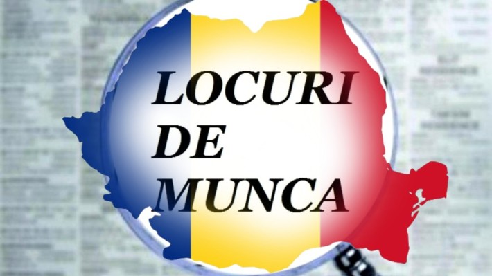 Se caută muncitori necalificați. Aproape 500 de locuri de muncă disponibile într-un județ din România
