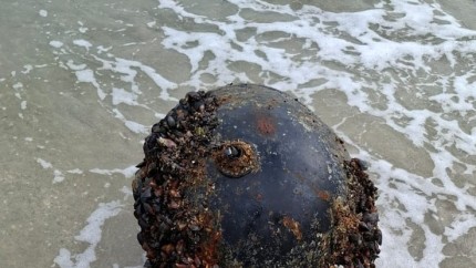 UPDATE Scafandrii militari au neutralizat mina marină eșuată pe plaja Midia. Alertă în Năvodari Mină marină observată pe plaja din dreptul poligonului Midia 
