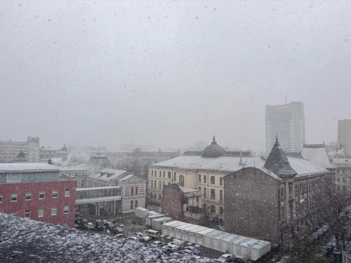 Ninge în București