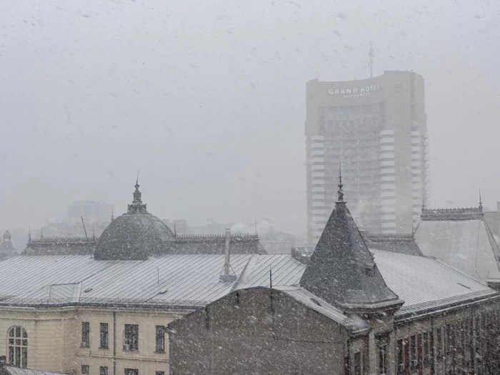 Ninge în București