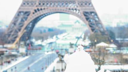 Franța UK și Olanda sub zăpadă. Ninsorile abundente au paralizat transportul în comun traficul rutier și zborurile aeriene