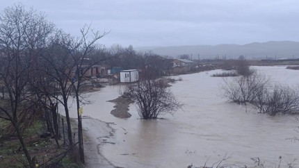 Cod roșu de inundații în Buzău Oamenii avertizați prin RO-Alert. Ploile masive au blocat drumuri și inundat curți FOTO