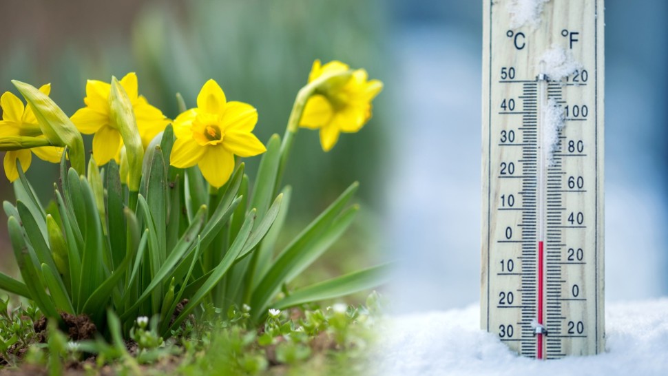 Luna martie mai caldă decât normalul perioadei. În București urmează un nou episod de ninsoare în aceste zile