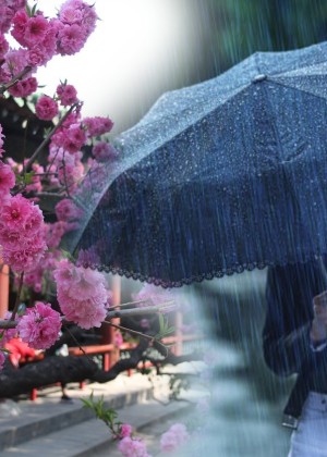 Prognoza meteo 18-19 aprilie. ANM anunță ploi și vânt puternic în acest weekend