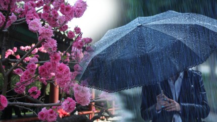 Prognoza meteo 29 aprilie. Brumă ninsori și scăderi de temperaturi în mai multe regiuni din România