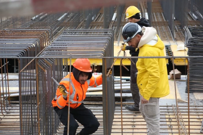 Planșeul Unirii Daniel Băluță