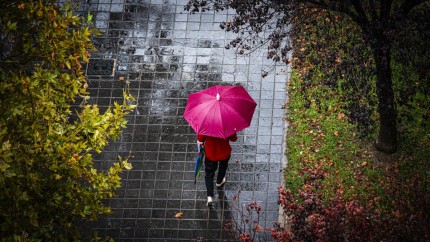 Cod galben ANM de ploi în zeci de județe inclusiv în București. La munte ninsori cu depunerea unui strat de zăpadă consistent HARTĂ