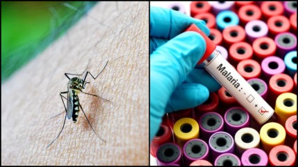 Noi informații privind copiii cu malarie din Iaşi. Doi dintre cei trei minori aduși la Spitalul Victor Babeş din București au malarie