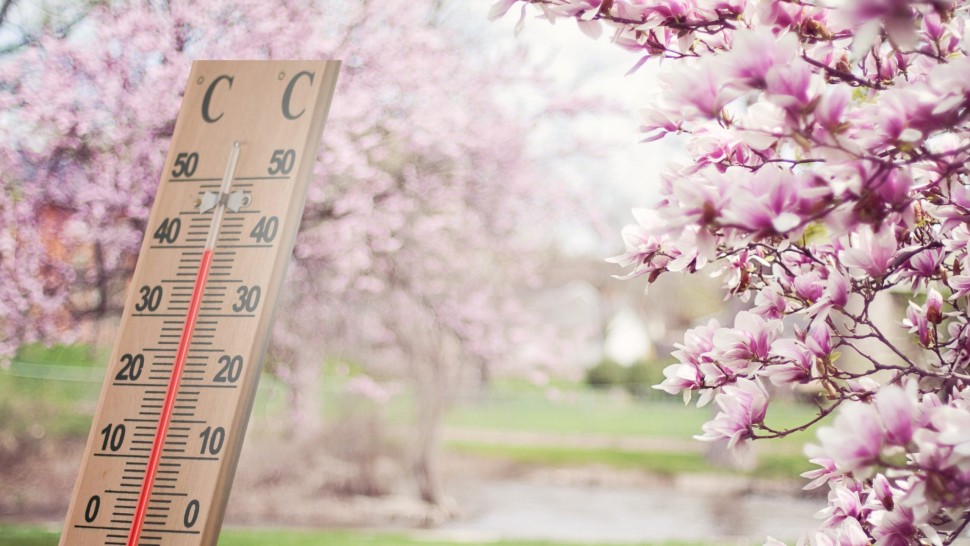 Prognoza meteo 22 aprilie. Ninge la munte. În ce zone din România va ploua toată ziua