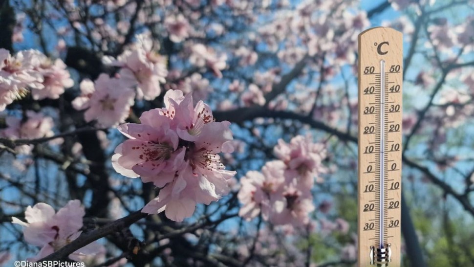 Prognoza meteo 9 martie. Început de săptămână cu temperaturi ridicate dar și cu un Cod galben de vânt
