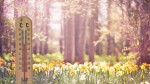Prognoza meteo 14 mai. Temperaturi mai blânde înainte ciclonului așteptat în weekend